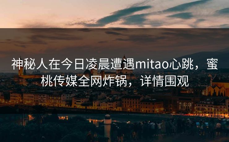 神秘人在今日凌晨遭遇mitao心跳，蜜桃传媒全网炸锅，详情围观