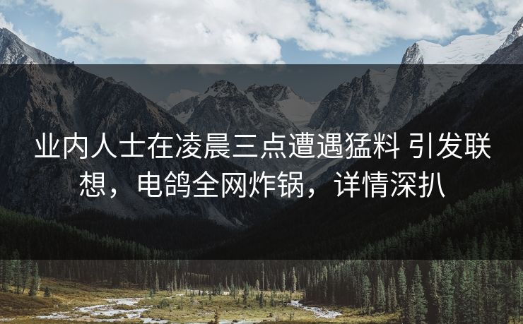 业内人士在凌晨三点遭遇猛料 引发联想，电鸽全网炸锅，详情深扒