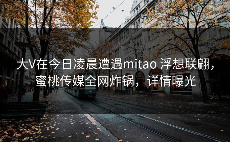 大V在今日凌晨遭遇mitao 浮想联翩,蜜桃传媒全网炸锅,详情曝光 大V在今日凌晨遭遇mitao 浮想联翩,蜜桃传媒全网炸锅,详情曝光